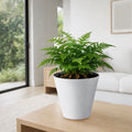 Respect White 30cm Repot Self Watering Planter – large white self watering repot pot ideal for indoor and outdoor plant growth.