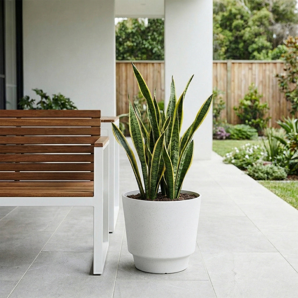 Respect White 30cm Round Calais Stone Look Self Watering Pot – medium white stone-effect self watering outdoor pot