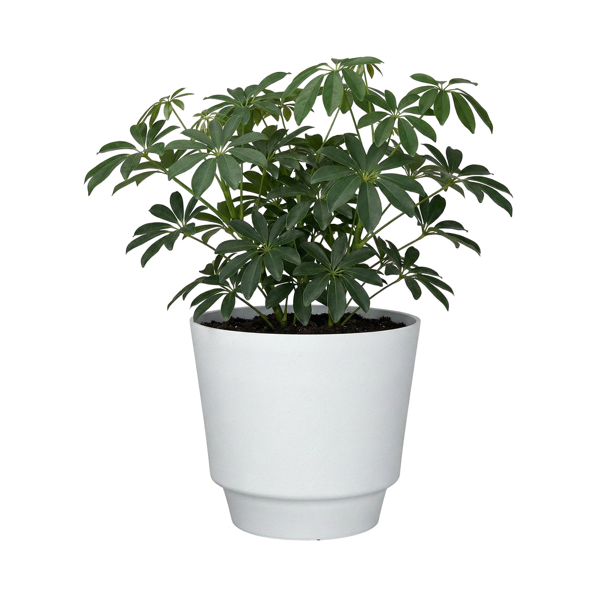 Respect White 30cm Round Calais Stone Look Self Watering Pot – medium white stone-effect self watering outdoor pot