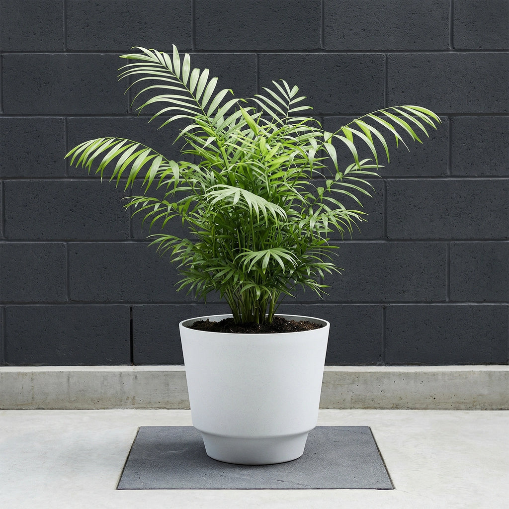Respect White 30cm Round Calais Stone Look Self Watering Pot – medium white stone-effect self watering outdoor pot