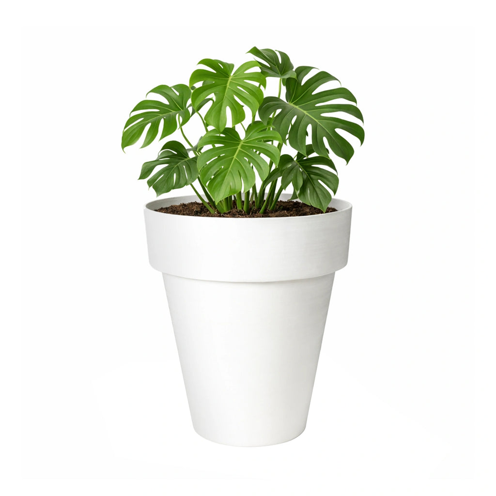 Respect White 30cm Time Planter – modern white plastic pot planter for contemporary indoor and outdoor garden styling.