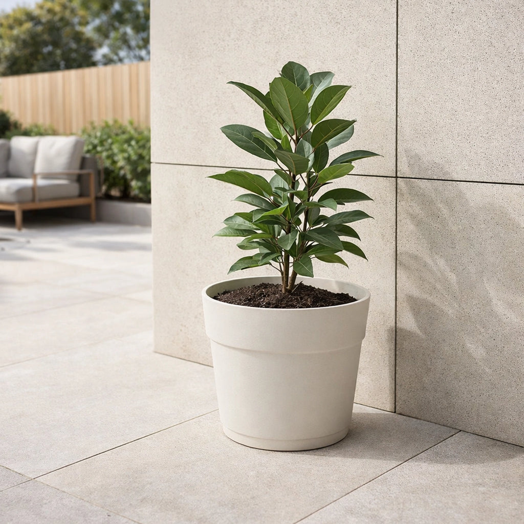 Respect White 34cm Cloud Bloom Self Watering Pot – large cloud white self watering pot for indoor plants and flowers.