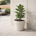 Respect White 34cm Cloud Bloom Self Watering Pot – large cloud white self watering pot for indoor plants and flowers.