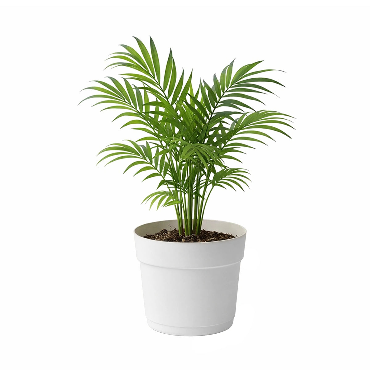 Respect White 34cm Cloud Bloom Self Watering Pot – large cloud white self watering pot for indoor plants and flowers.