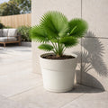 Respect White 38cm Cloud Bloom Self Watering Pot – cloud white modern self watering planter for indoor plants.