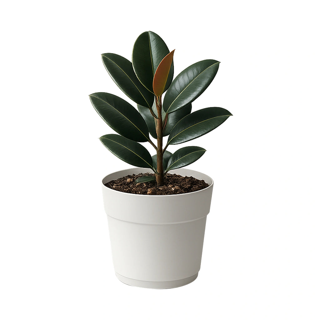 Respect White 38cm Cloud Bloom Self Watering Pot – cloud white modern self watering planter for indoor plants.