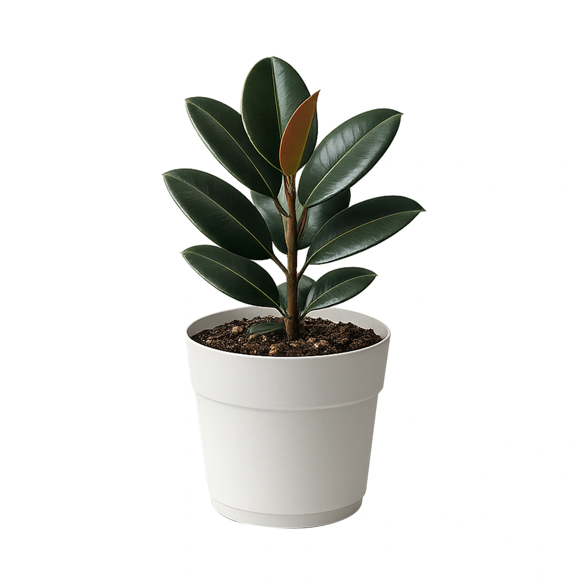 Respect White 38cm Cloud Bloom Self Watering Pot – cloud white modern self watering planter for indoor plants.