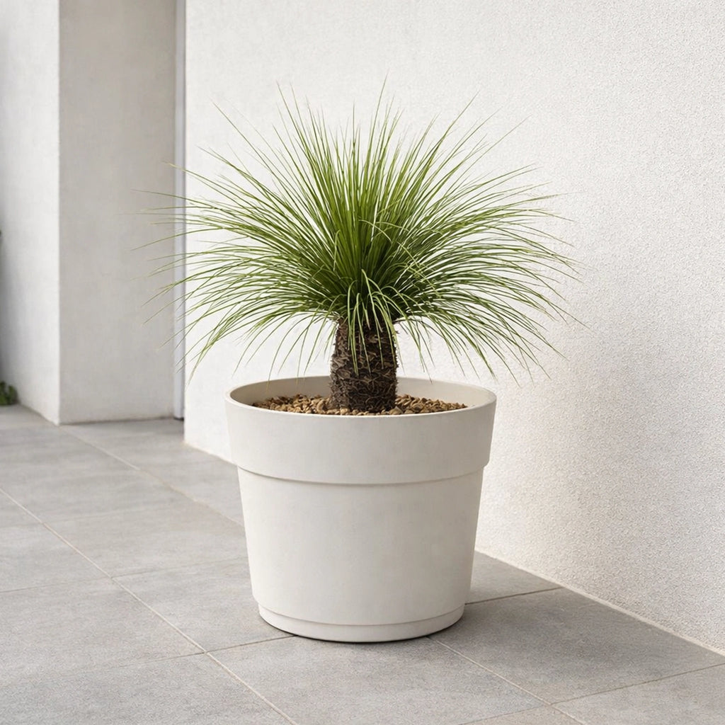Respect White 38cm Cloud Bloom Self Watering Pot – cloud white modern self watering planter for indoor plants.