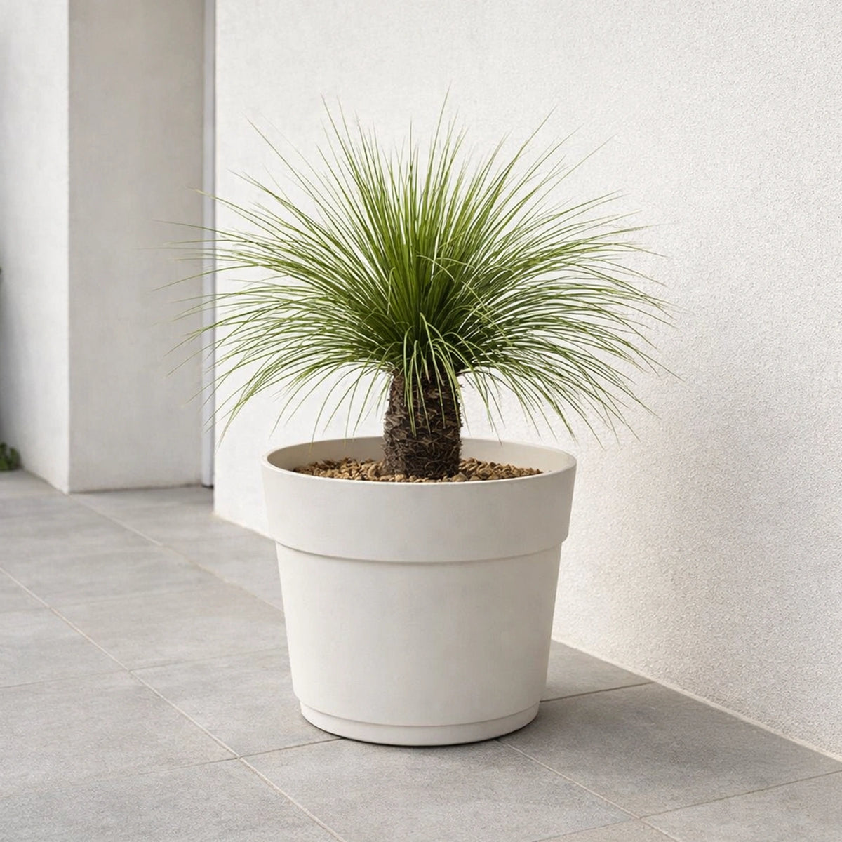 Respect White 38cm Cloud Bloom Self Watering Pot – cloud white modern self watering planter for indoor plants.