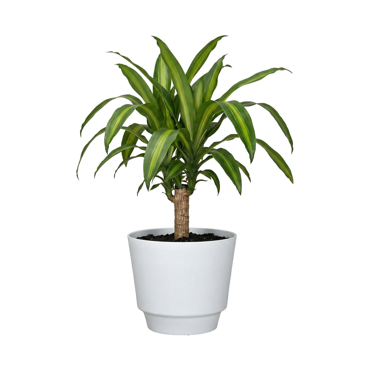 Respect White 40cm Round Calais Stone Look Self Watering Pot – large white stone-effect self watering planter pot