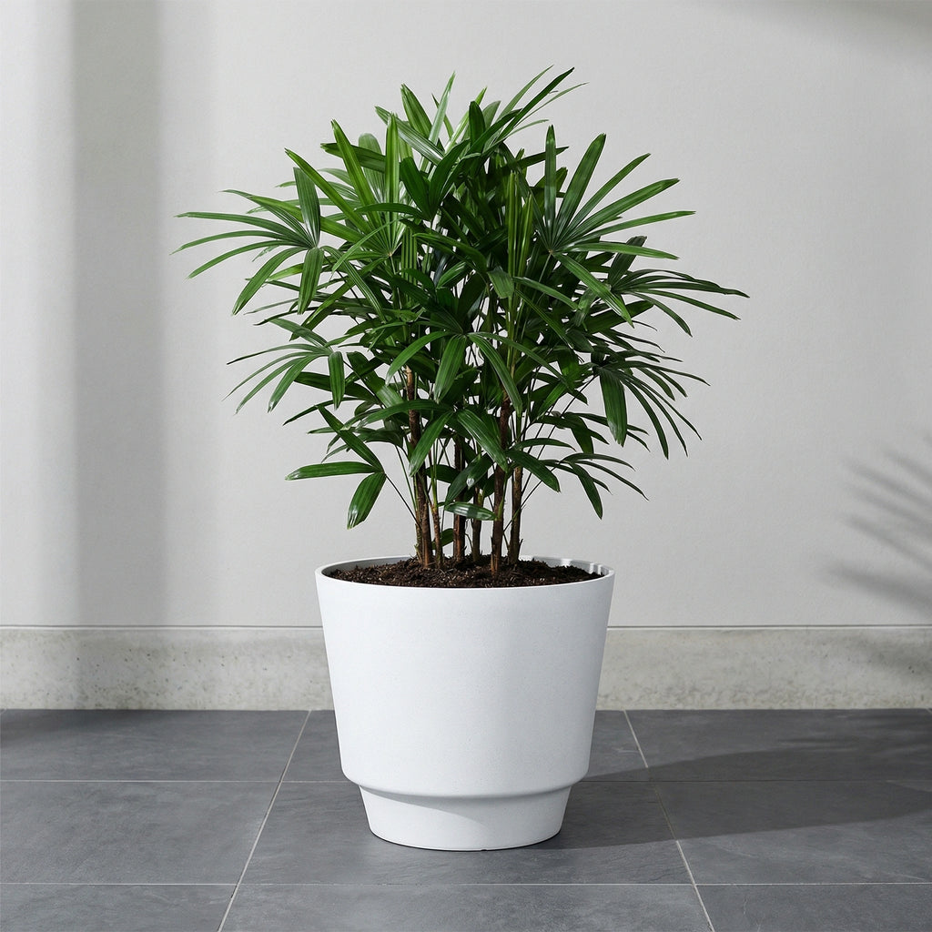 Respect White 40cm Round Calais Stone Look Self Watering Pot – large white stone-effect self watering planter pot