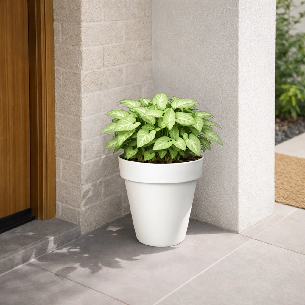 Respect White 40cm Time Planter with Wheels – large moveable white plastic planter with wheels for patio and balcony.