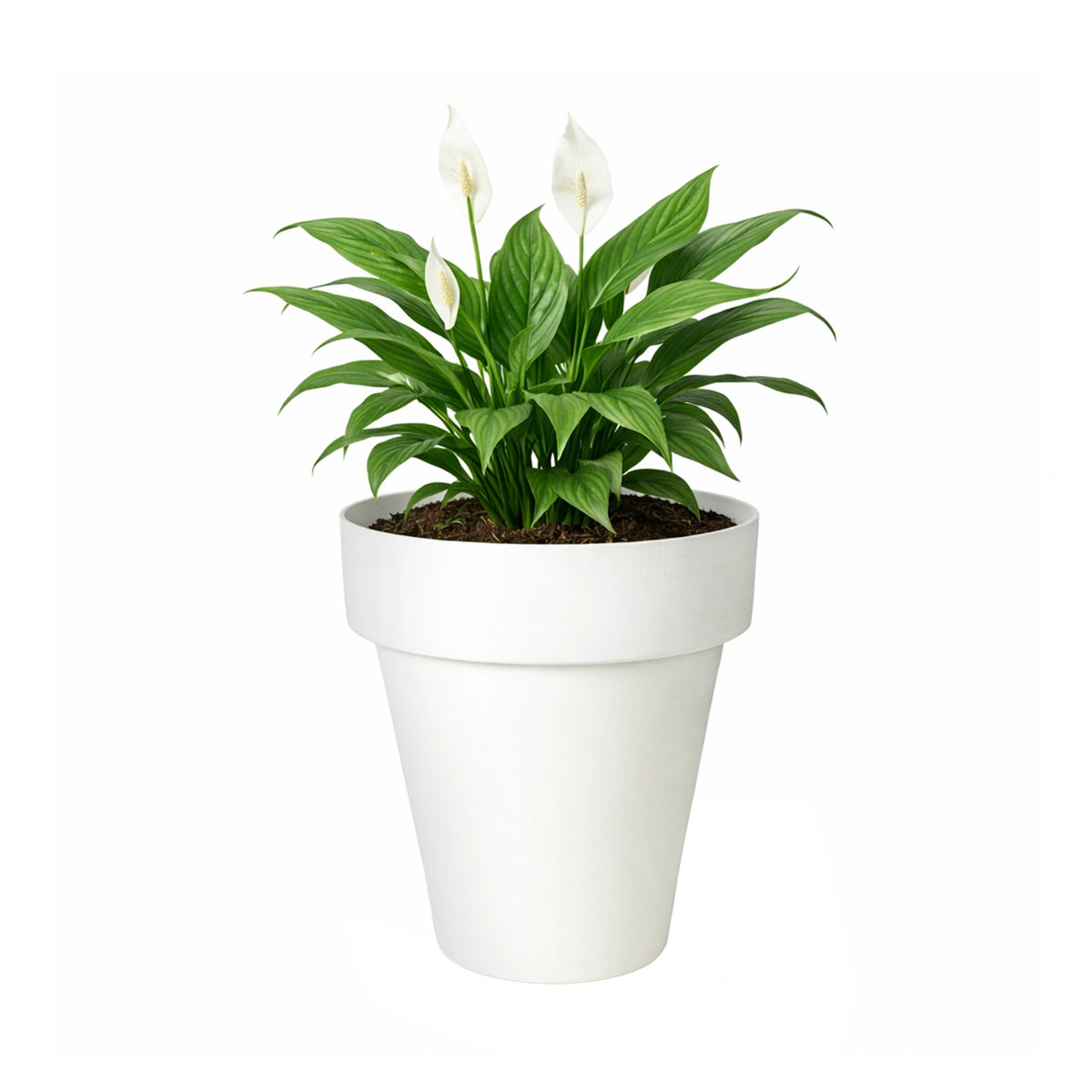 Respect White 40cm Time Planter with Wheels – large moveable white plastic planter with wheels for patio and balcony.